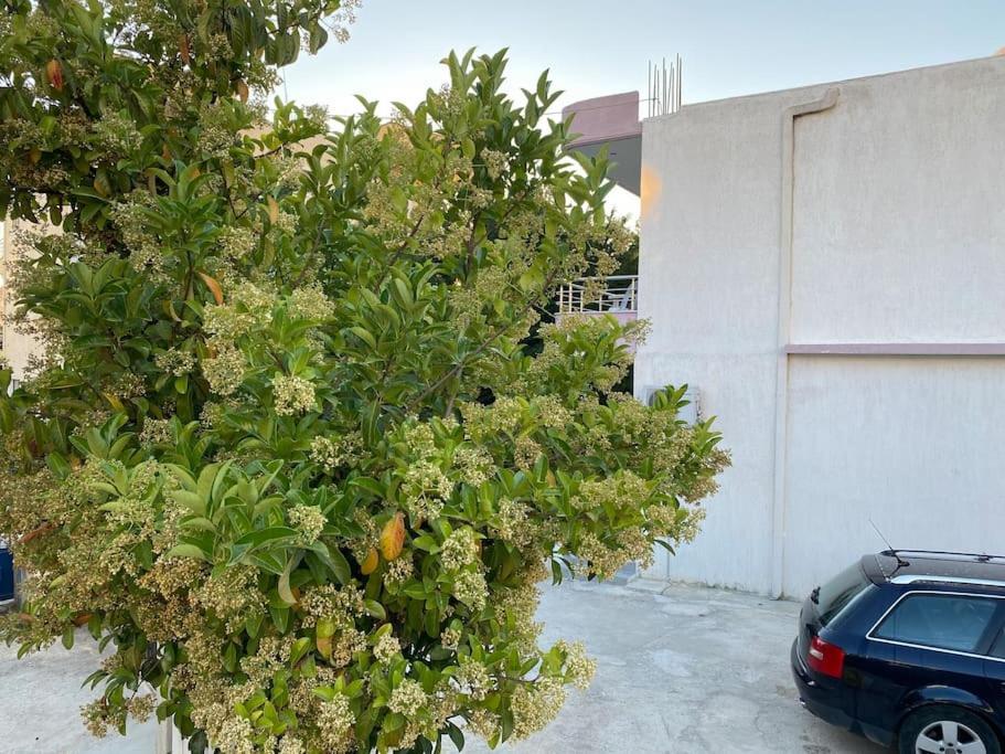 Guesthouse Xhimi Ksamil Exterior foto